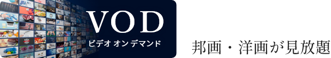 ビデオ オン デマンド 邦画・洋画が見放題